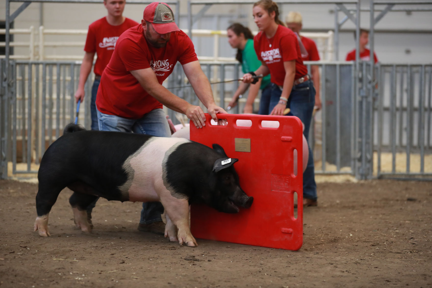 071119_HallCoFair29_bjs.JPG